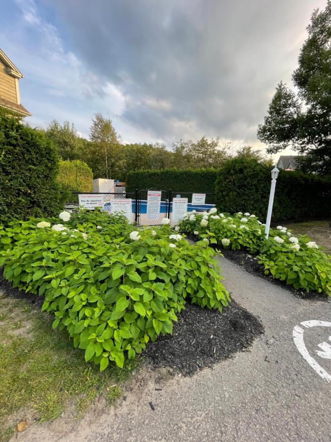 Dida Leilighet Saint-Sauveur-des-Monts Eksteriør bilde